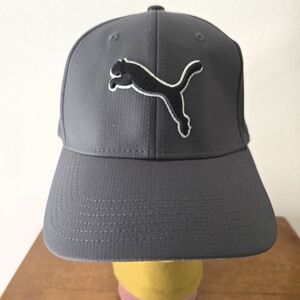 Puma Evercat Dillon Gray Stretch Fitted Baseball Cap L/XL